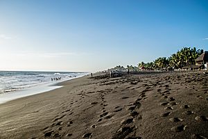 Black-sand-beach.jpg