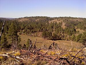 BlackCanyonHeberArizona