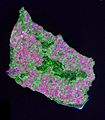 Bornholm Landsat