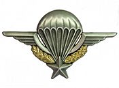 Brevet Parachutiste.jpg