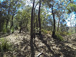 Brisbane Waters National Park (13813818344)