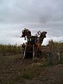 Cane harvester