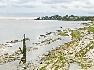 Cattle Point, Te Whanga Lagoon