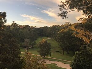 Chatswood golf course 