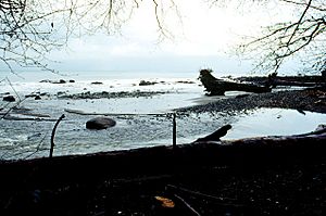 The mouth of the Clallam River is located in Clallam Bay County Park.