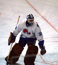 Clint Malarchuk cadré.jpg