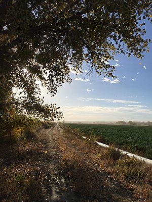 Just south of Cowley, October 2015