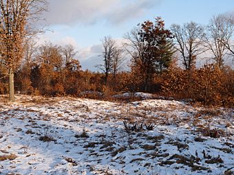 Cranberry Creek Indian Mounds.jpg