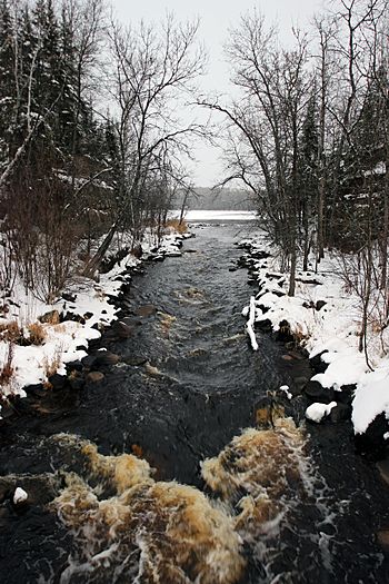 December Snowfall (30674073593).jpg