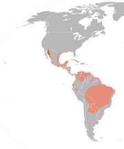 Dendrocygna autumnalis distribution map.png