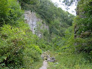 Ebbor Gorge 2