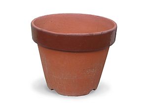 Flowerpot 1