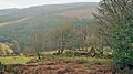 Glendoo ruin