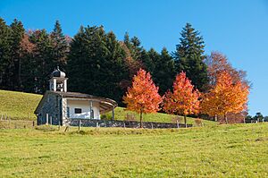 Hubertuskapelle in Langenegg Südansicht