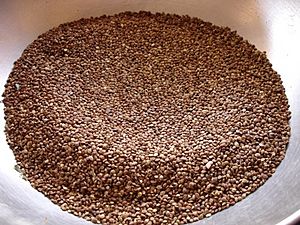 Kodo Millet in Chhattisgarh.jpg