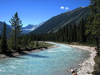 Kootenay park - panoramio.jpg