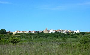 La torre den domenec9