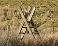 Ladder stile Snowdonia