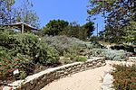 Manhattan Beach Botanical Garden - Manhattan Beach, CA - DSC01190.jpg