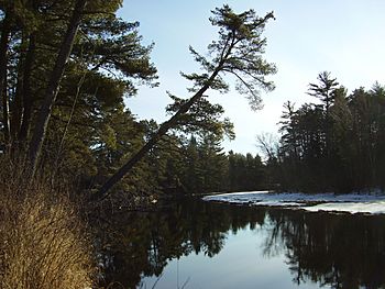 ManitowishRiver-2015-03-18.JPG