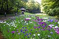 Meiji-Shrine-Innergarden-02