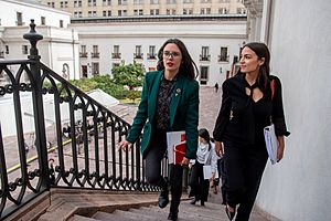 Ministra Camila Vallejo, recibe a Delegación de Congresistas Demócratas en la Moneda (53125810354)