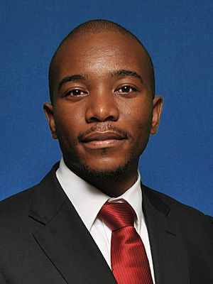 Mmusi Maimane (cropped2).jpg