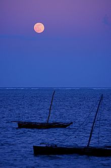 Moon Over Mombasa