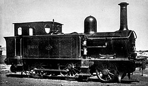 NSWGR Locomotive F.351 Class