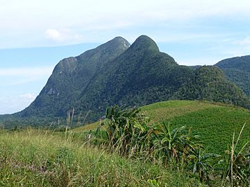 Pan de Guajaibón (4).jpg