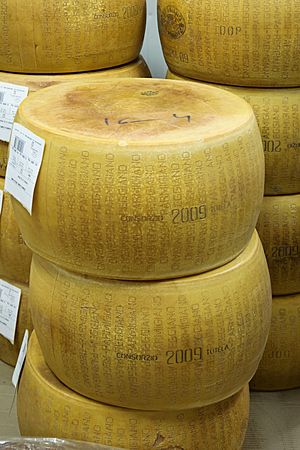 Parmigiano Reggiano meules MIN Rungis.jpg