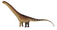 Patagotitan.png