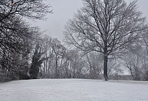 Point Reno, Washington, D.C.