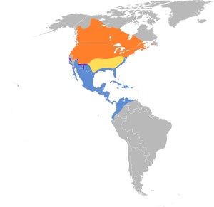 Porzana carolina map.svg