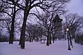 Prospect Park Water Tower winter