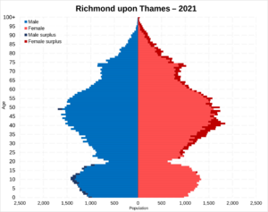 Richmond upon Thames population pyramid