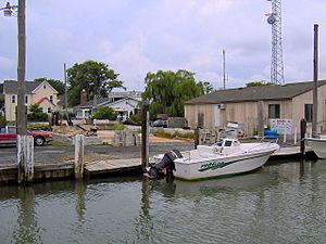 Harbor at Ewell