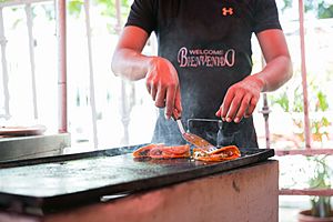 Tacos de Barba Birria 16