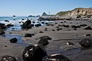 Tapuae Beach