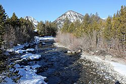 Tenmile Creek.JPG