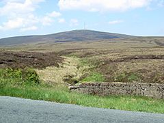 The Young Liffey - geograph.org.uk - 464192