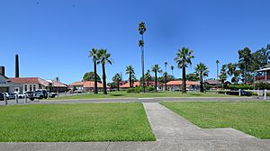 (1)Former Lidcombe Hospital 060