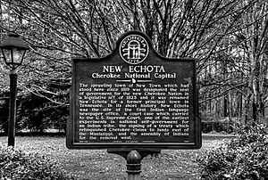 19-35-135-echota