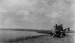Agricultura in raionul Camenca