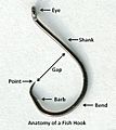 Anatomyofafishhook