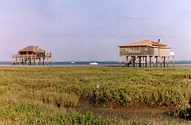 Arcachon tchanquée