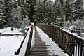 Breitenbush river bridge