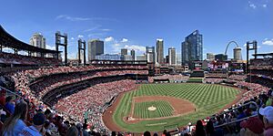 Busch Pano 2022