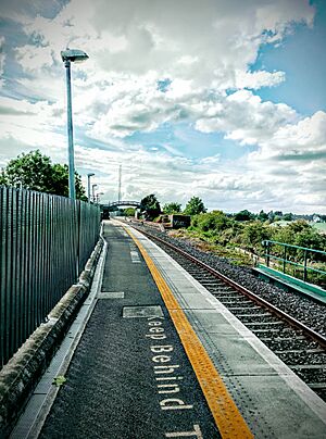 Carrick Train Station