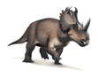 Centrosaurus